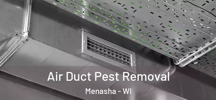  Air Duct Pest Removal Menasha - WI