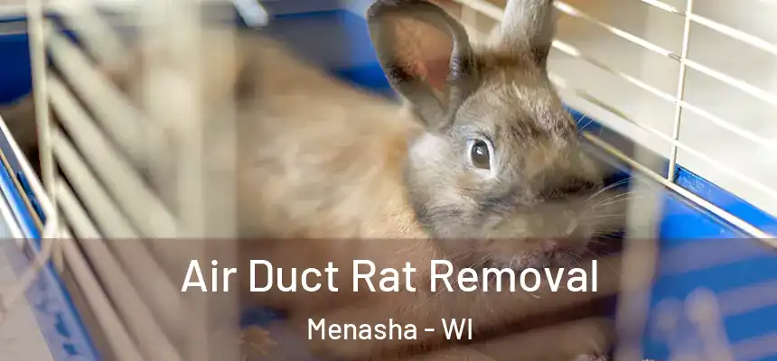  Air Duct Rat Removal Menasha - WI