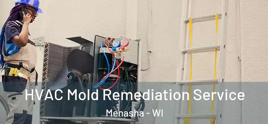  HVAC Mold Remediation Service Menasha - WI