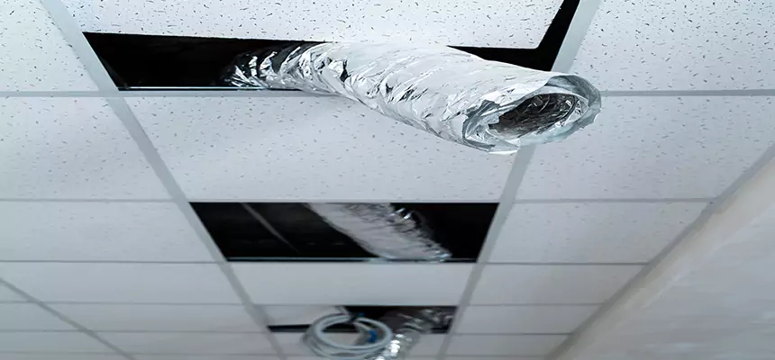 Affordable HVAC Sanitizing After Pest Removal in Menasha