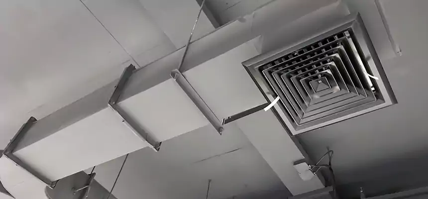 Restorative Allergy Relief Vent Cleaning – Coil, Blower & Housing Detail in Menasha