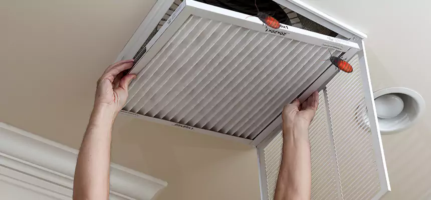 Our Insect Removal from Air Ducts Services in Menasha, WI