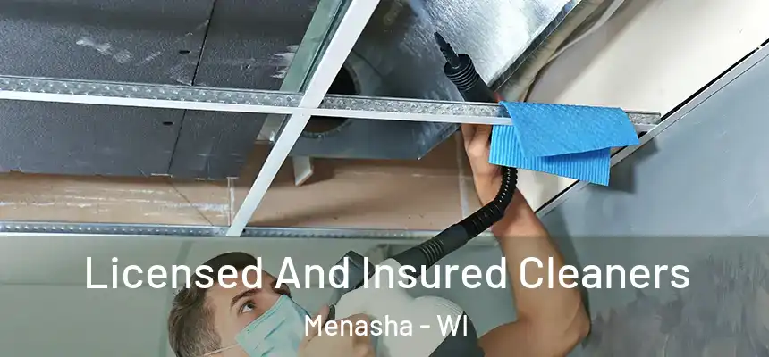  Licensed And Insured Cleaners Menasha - WI