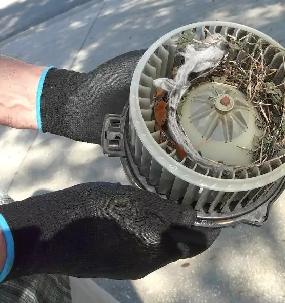 About Air Duct Mice Removal in Menasha, WI