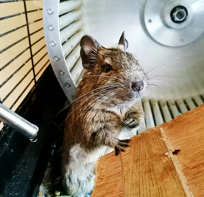 Why Homeowners & Businesses Trust Us Menasha, WI